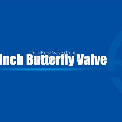 12 Inch Butterfly Valve