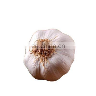 healthy food and cheap price new crop Chinese fresh frozen garlic with reliable price