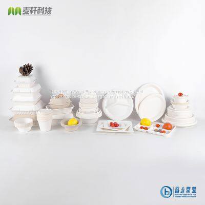 Disposable Biodegradable 7/9/10 INCH 1C 2C 3C PLATE Take Away Sugarcane Bagasse