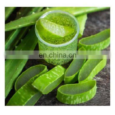 Aloe Vera Chunk From Vietnam