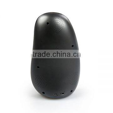 Indoor Outdoor Temperature Humidity Wireless Weather Station photo-3