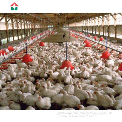 Chicken Farm Building House Shed photo-4