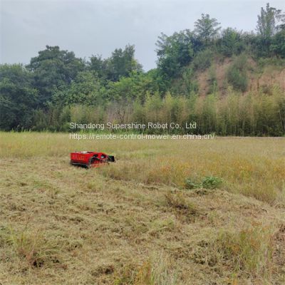 Customized Remote control brush mower from China