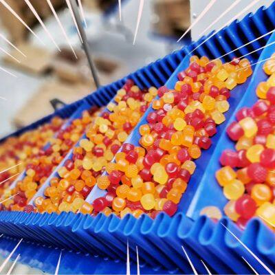 Small Gummy Candy Depositing photo-3