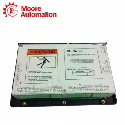 INGERSOLL-RAND 39875158 photo-2