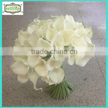 Hot sell 35cm mini pu real touch white calla lily artificial flowers                        
                                                Quality Choice