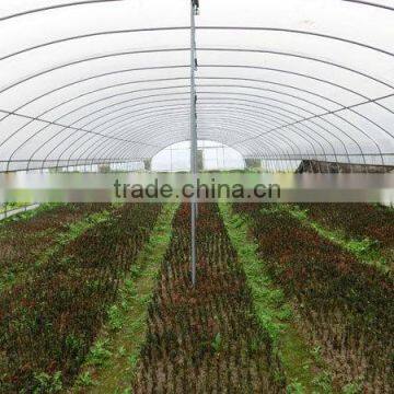 8 m Width Agricultural Tunnel Greenhouse photo-2