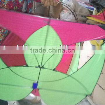 rc kite from china