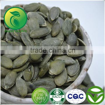 Bird Pumpkin Seeds Kernels GWS