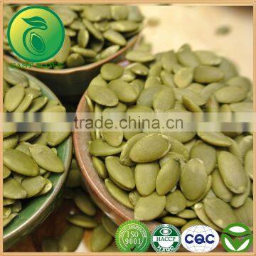 Green China Supplier Pumpkin Kernels