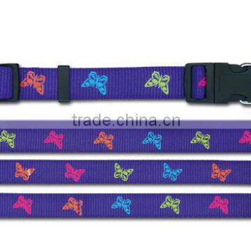 colorful design pet leash