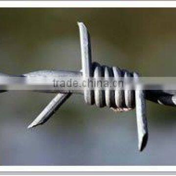 Barbed iron wire (factory price)