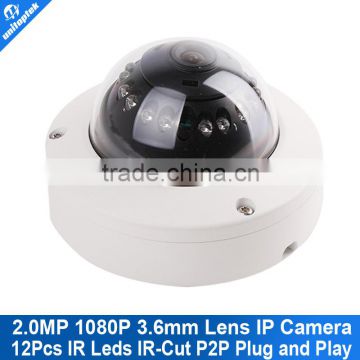 IP66 Dome HD 1080P Network CCTV Camera With ir-cut onvif p2p 12Pcs Leds