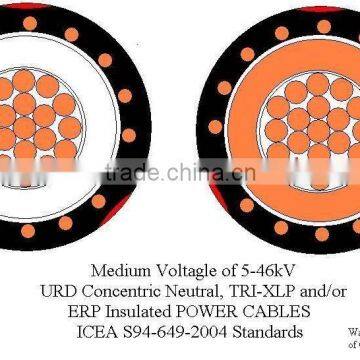 10mm2 Multi Cores 600/1000V kable copper conductor PVC/XLPE insulated concentric cable