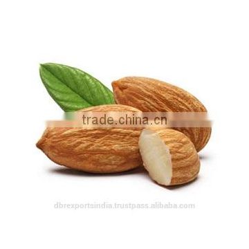 Almond Oil Sweet (Whole sell rate)