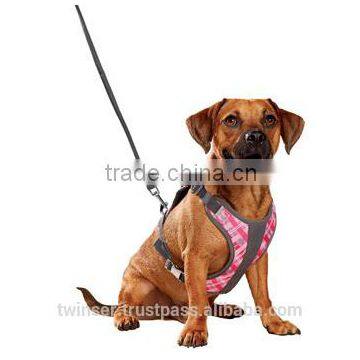 Dog Harness