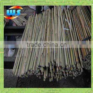 Bamboo cane for garden decoration