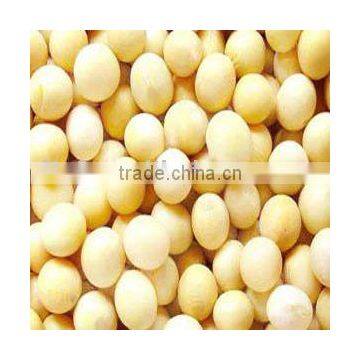 Non-Gmo yellow soybeans