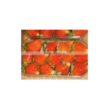 STRAWBERRY FOR SALE