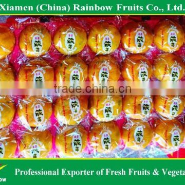 fresh citrus/fresh mandarin/chinese lokam/honey mandarin