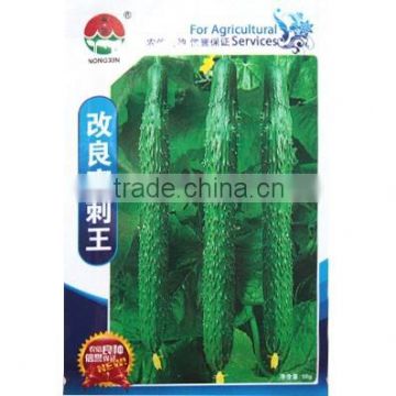 High Quality Hybrid Chinese Cucumber Seeds For Growing-Improved Density Thorn King