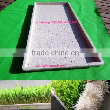 rectangular hydroponics propagation flat nursery seedling trays