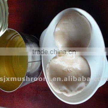 New Crop Canned Bailing Mushroom(Pleurotus Nebrodensis)