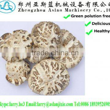 xianggu mushrooms/canned champignon/canned shiitake mushroom
