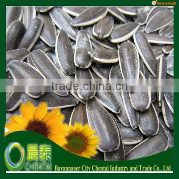 Inner Mongolia Big Size Chinese Black Sunflower Seeds Ton Price