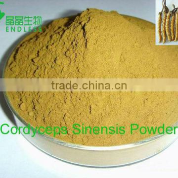 Immunity System Herb Natural Cordyceps Powder