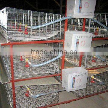 80-140 adults Capicity breeding or broiler cage