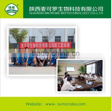 High Quality Fungicide Kasugamycin 70% TC photo-5