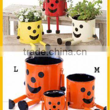 Cute and Unique Plant Pot Flower Pot for For Foliage OEM Available photo-3