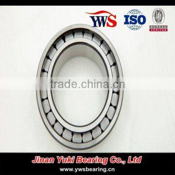 Double Row Full Complement Cylindrical Roller Bearing SL 185013 photo-2