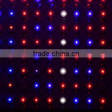 High Quality Greenhouse Cheap 600w Led Grow Lights for Sale photo-5