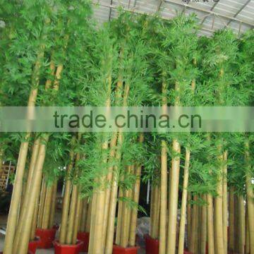 SJ Plastic Realistic Artificial/leek Arrangement of Bamboo With Leaves,bamboo Poles photo-6
