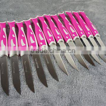 51010 12PCS STAINLESS STEEL Fruit Knife Set photo-2