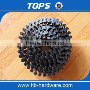 Plastic Collated/electro Galvanized Coil Nails photo-3