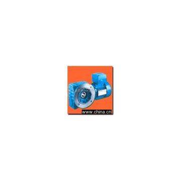 Worm Gear Reducer