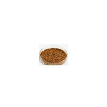 Green Tea Extract Natural L-Theanine 20%