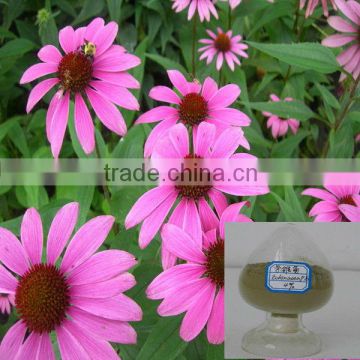 Pure Nature Echinacea Herb Extract