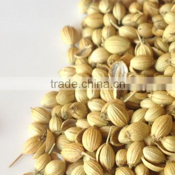 Superior Grade Organic Coriander Seeds For OEM