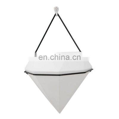 Hydroponic Wall Mounted Flower Pot Set Indoor Iron Rack Ceramic Hanging Planters Metal Wall Decor Vertical Garden Planter