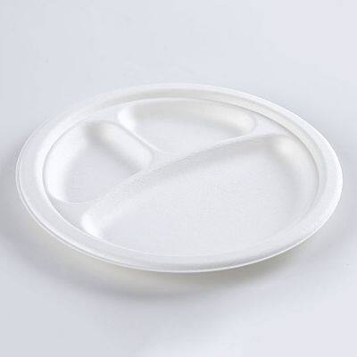 Disposable Biodegradable 9INCH 3C PLATE Take Away Sugarcane photo-4