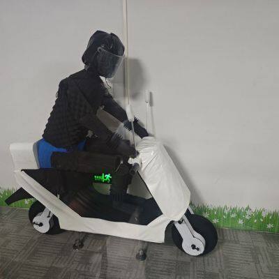 BYD Fake Human and Fake Car Experimental Model Production Factory photo-5