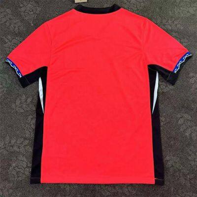 2526 South Korea Home Soccer Jersey New World Cup Short-sleeve Football Jersey Embroidered Jersey photo-2