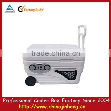 Cooler box with radio