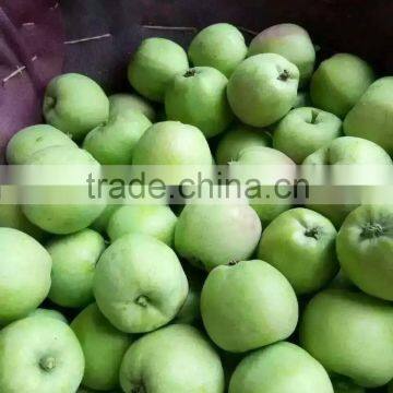 Fresh Green Apple