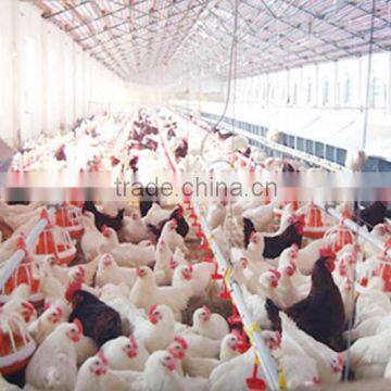 High Quality Automatic Broiler Feeding and Drinking System