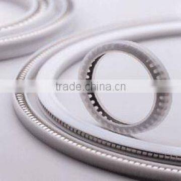 Spring Energized PTFE Seals photo-2